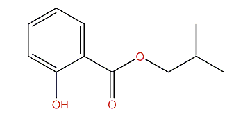 2-Methylpropyl 2-hydroxybenzoate